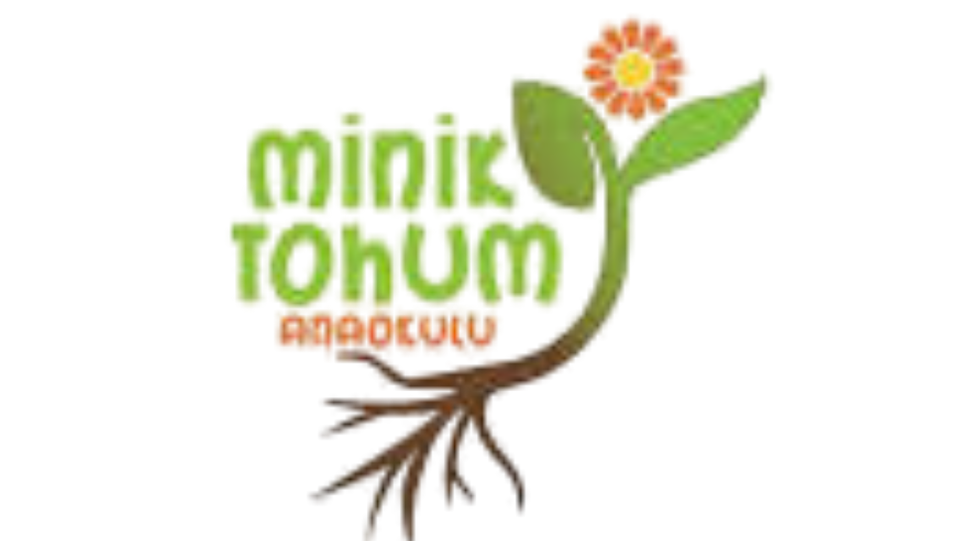 Minik Tohum Anaokulu